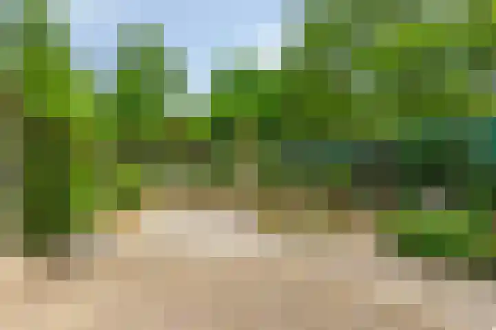 Boutensgaarde 124 Deventer thumbnail 35