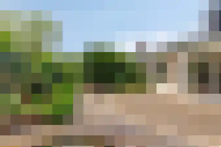 Boutensgaarde 124 Deventer thumbnail 36