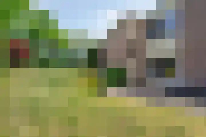 Boutensgaarde 124 Deventer thumbnail 37