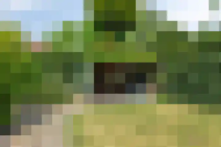 Boutensgaarde 124 Deventer thumbnail 40