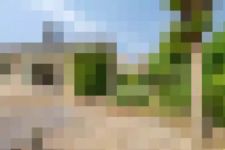 Boutensgaarde 124 Deventer thumbnail 41