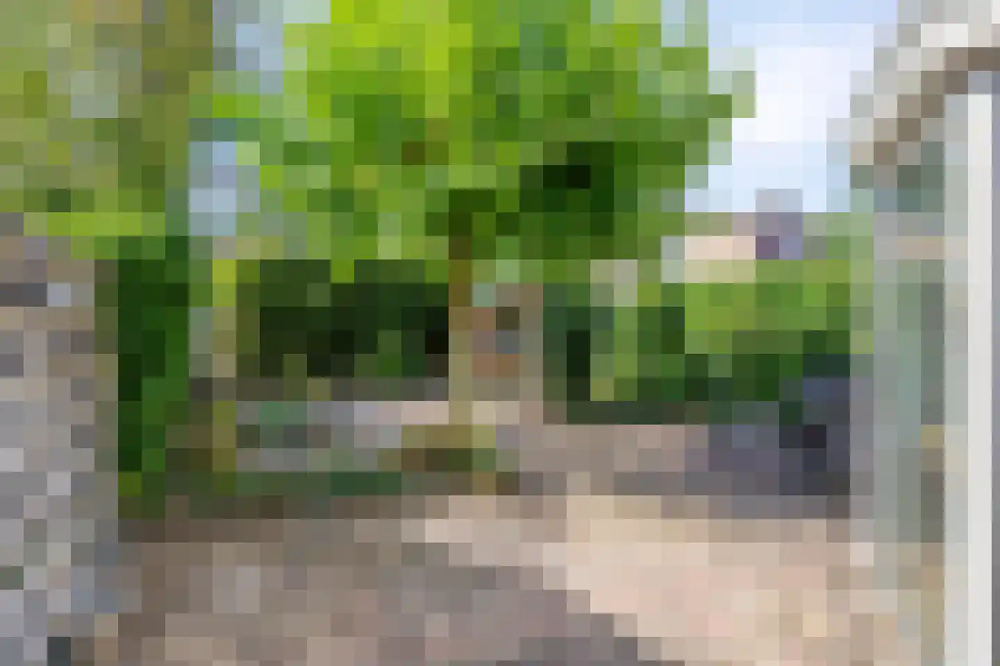 Boutensgaarde 130 Deventer thumbnail 34