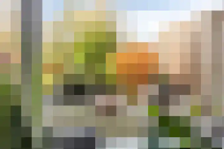 Boutensgaarde 2 Deventer thumbnail 12