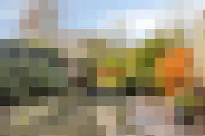 Boutensgaarde 2 Deventer thumbnail 14