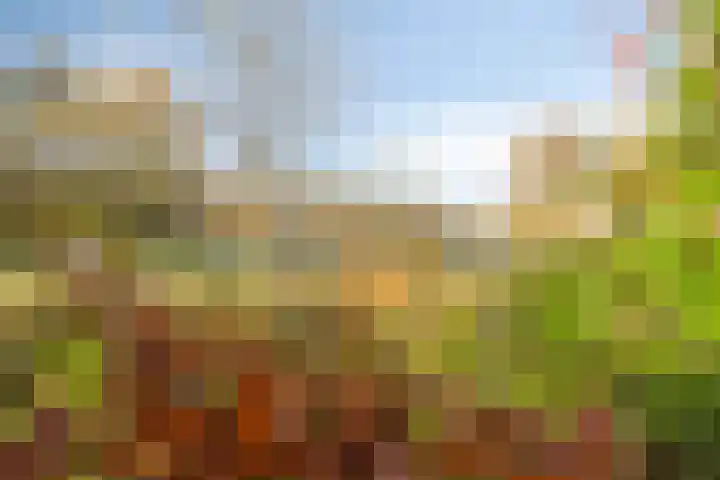 Boutensgaarde 2 Deventer thumbnail 15