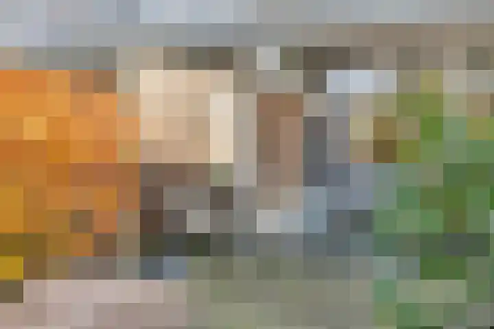 Boutensgaarde 2 Deventer thumbnail 16