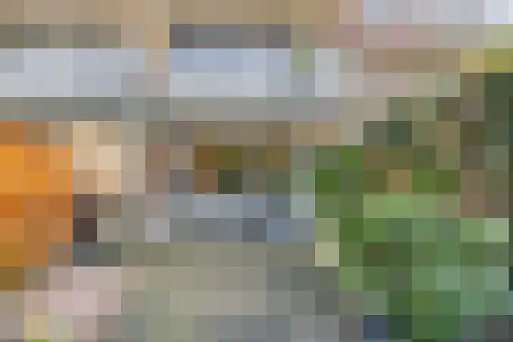 Boutensgaarde 2 Deventer thumbnail 17