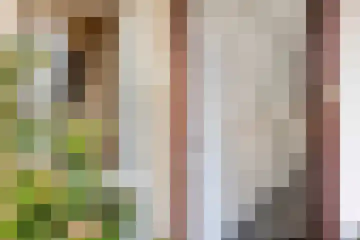 Boutensgaarde 2 Deventer thumbnail 25