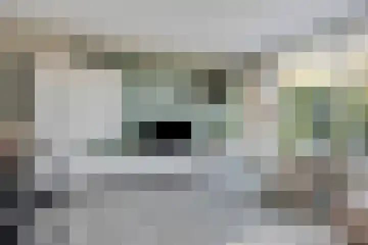 Boutensgaarde 2 Deventer thumbnail 4