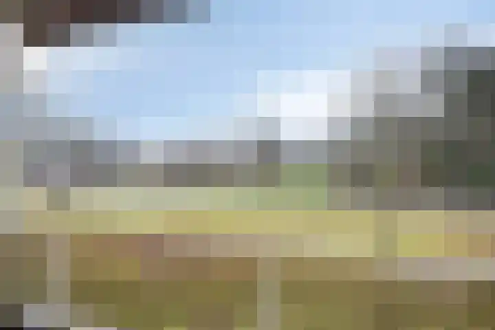 Boutensgaarde 20 Deventer thumbnail 27