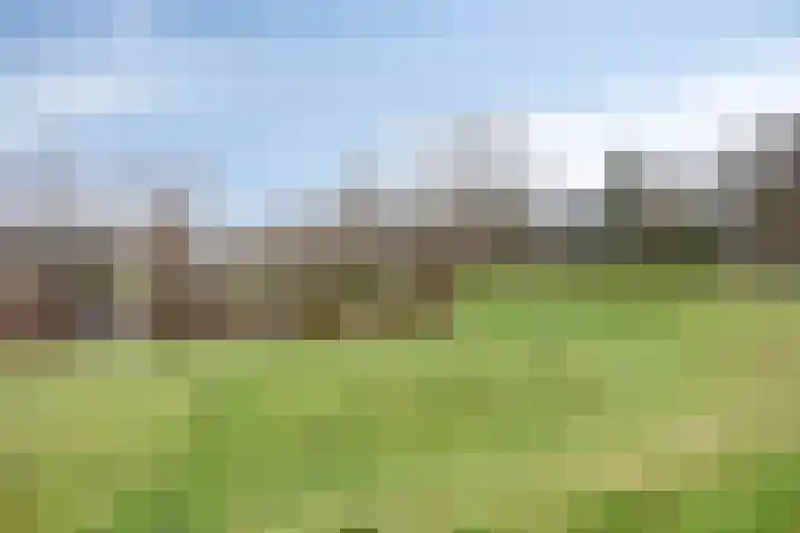 Boutensgaarde 20 Deventer thumbnail 32
