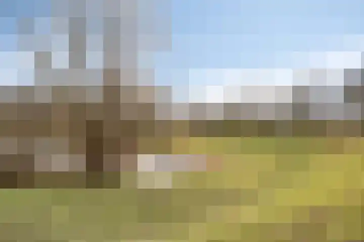 Boutensgaarde 34 Deventer thumbnail 29