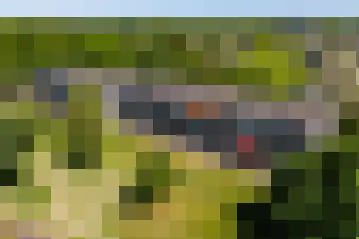 Boutensgaarde 48 Deventer