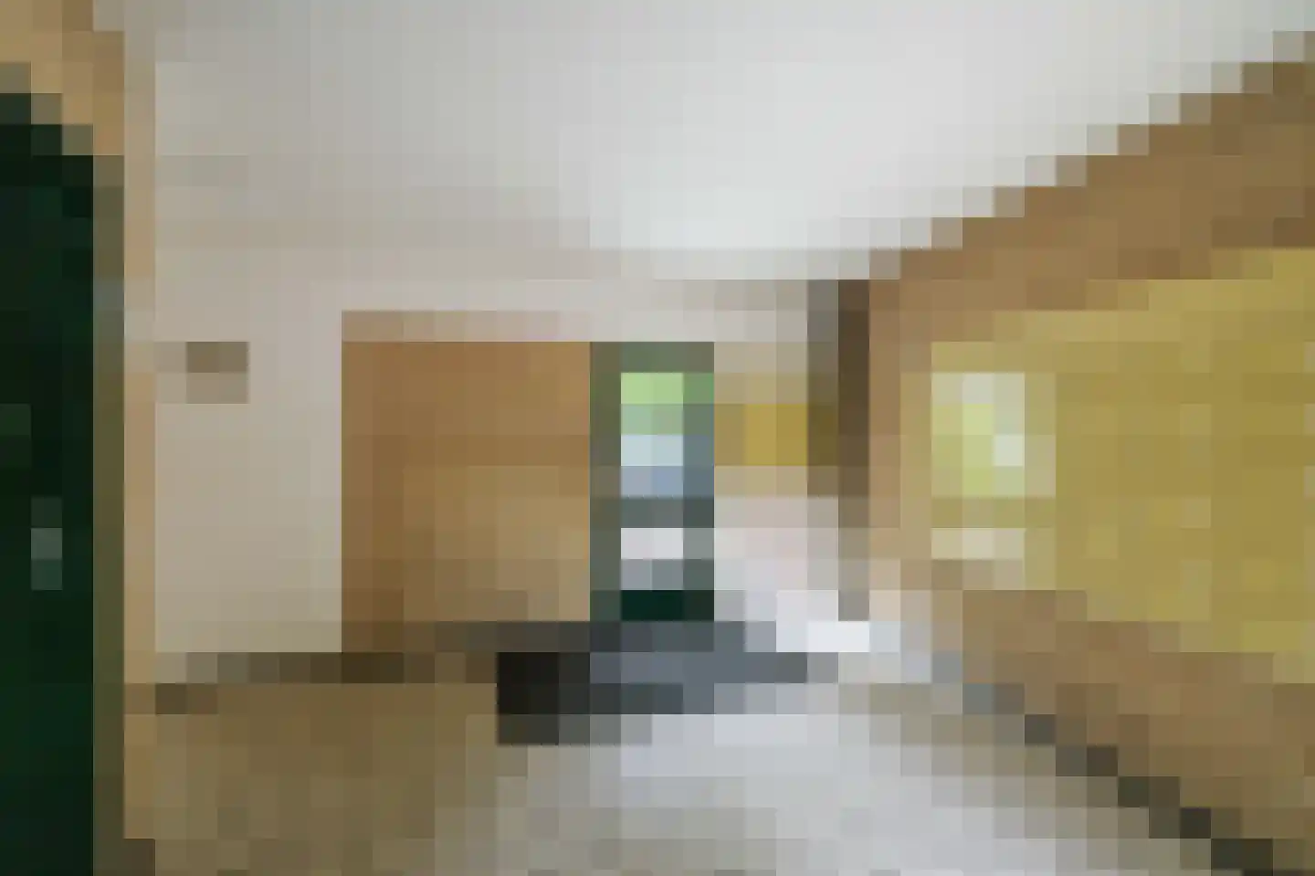 Boutensgaarde 52 Deventer thumbnail 18