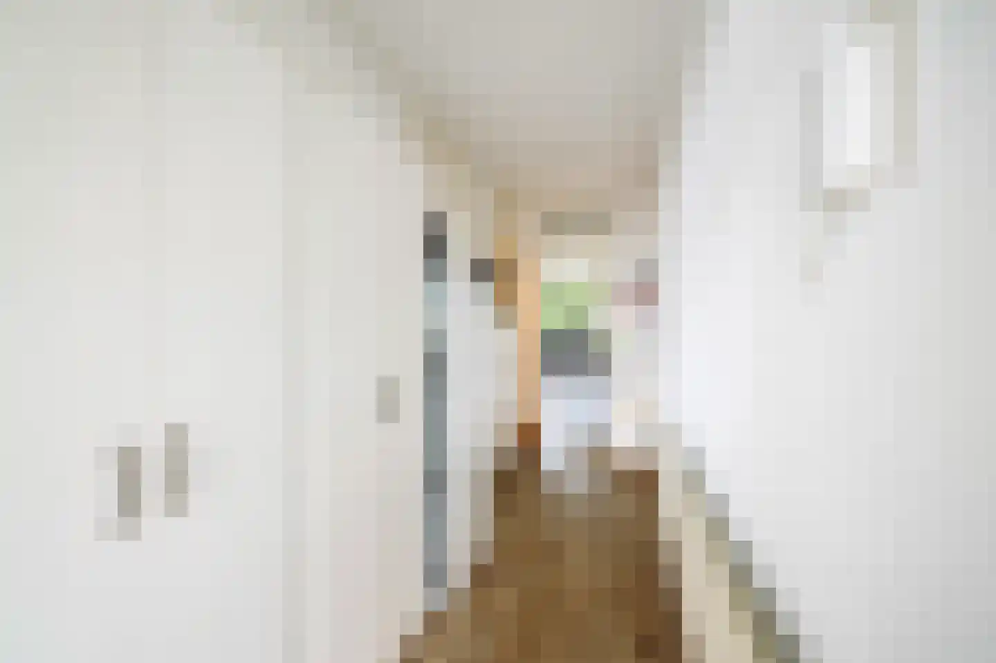 Boutensgaarde 52 Deventer thumbnail 8