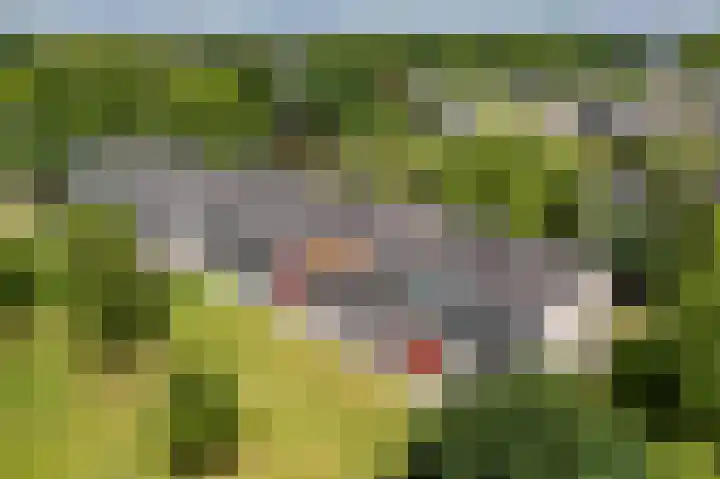 Boutensgaarde 58 Deventer