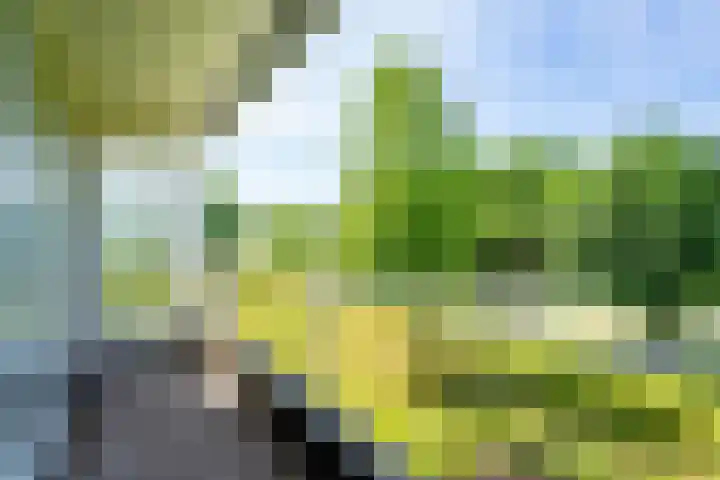 Boutensgaarde 58 Deventer thumbnail 5