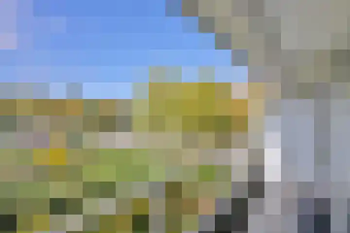 Boutensgaarde 66 Deventer thumbnail 11