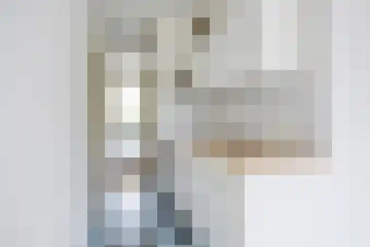 Boutensgaarde 84 Deventer thumbnail 13