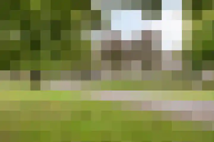 Boutensgaarde 84 Deventer thumbnail 18