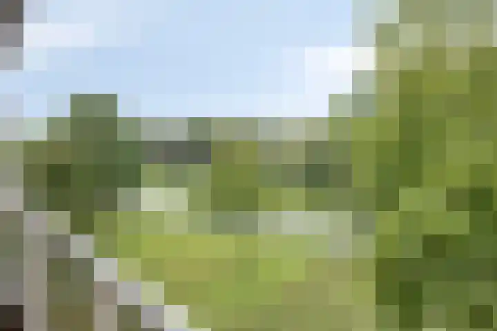 Boutensgaarde 84 Deventer thumbnail 19