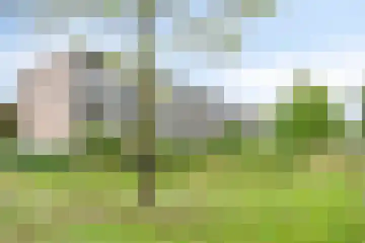 Boutensgaarde 84 Deventer thumbnail 20