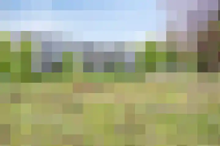 Boutensgaarde 84 Deventer thumbnail 21