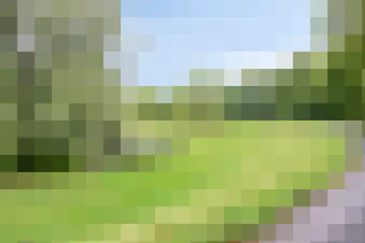 Boutensgaarde 84 Deventer thumbnail 24
