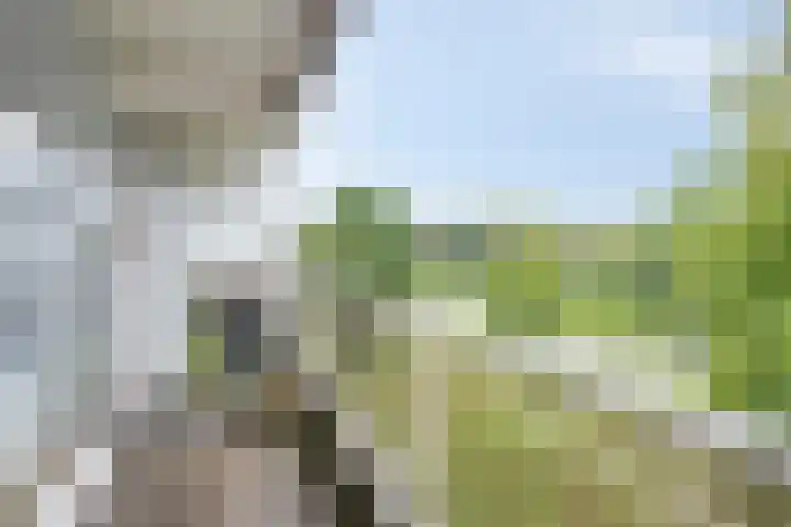 Boutensgaarde 84 Deventer thumbnail 4