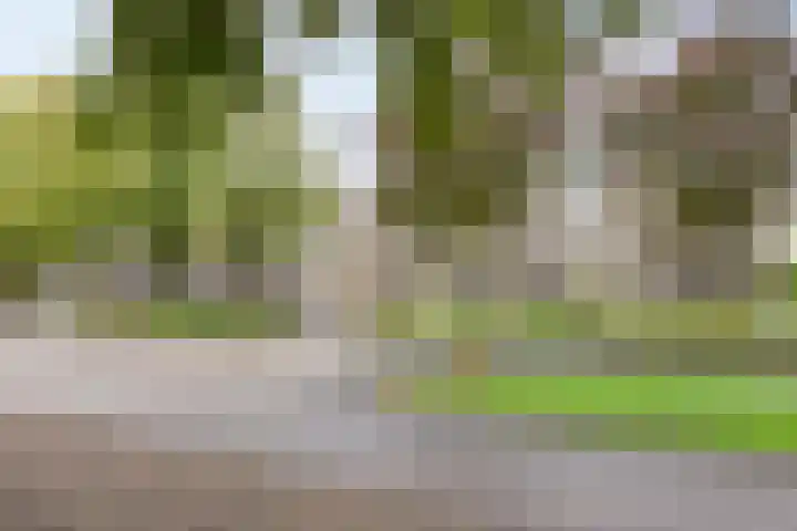 Boutensgaarde 84 Deventer thumbnail 5