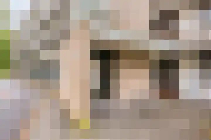 Boutensgaarde 84 Deventer thumbnail 6