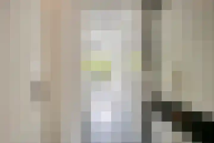 Boutensgaarde 84 Deventer thumbnail 9