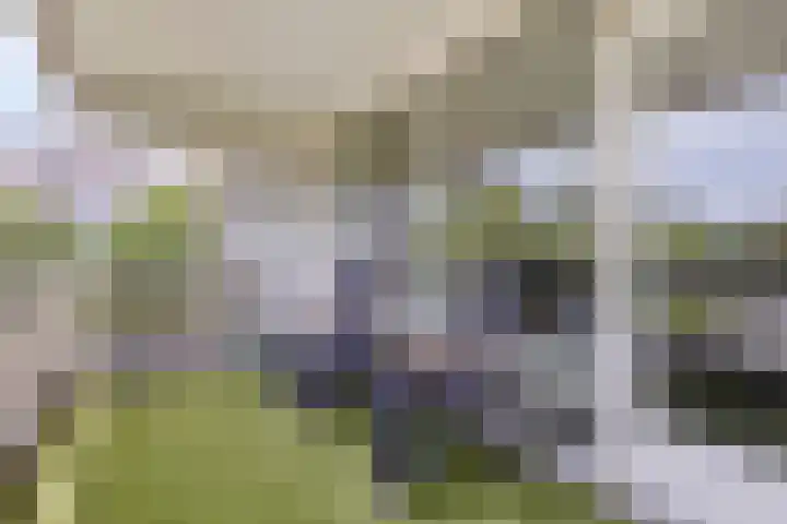 Boutensgaarde 96 Deventer thumbnail 12