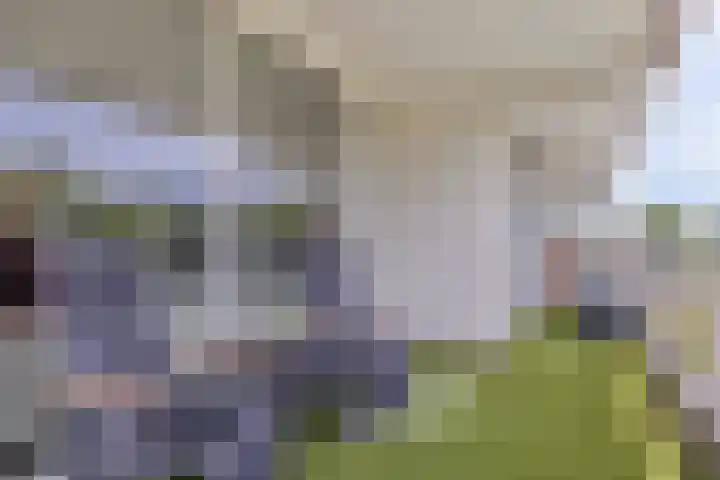 Boutensgaarde 96 Deventer thumbnail 13