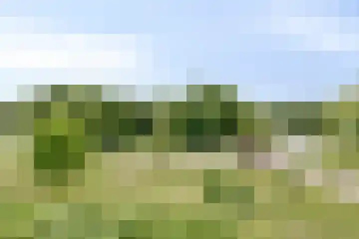 Boutensgaarde 96 Deventer thumbnail 14