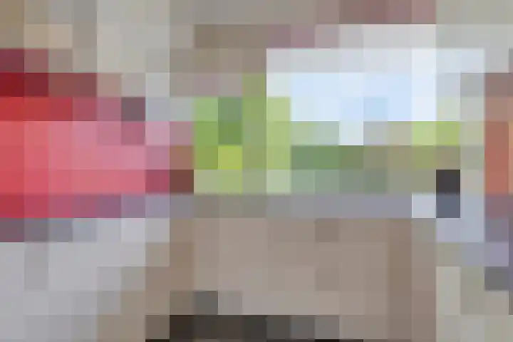 Boutensgaarde 96 Deventer thumbnail 16