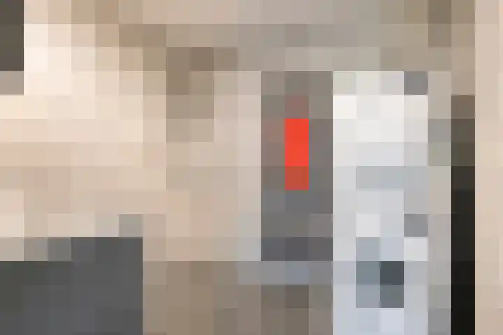 Boutensgaarde 96 Deventer thumbnail 22