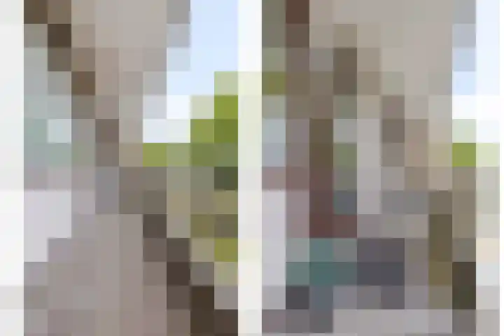 Boutensgaarde 96 Deventer thumbnail 27