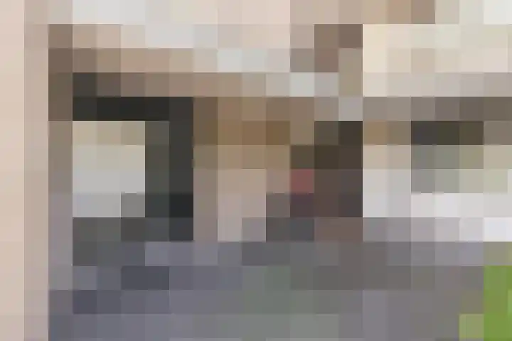 Boutensgaarde 96 Deventer thumbnail 29