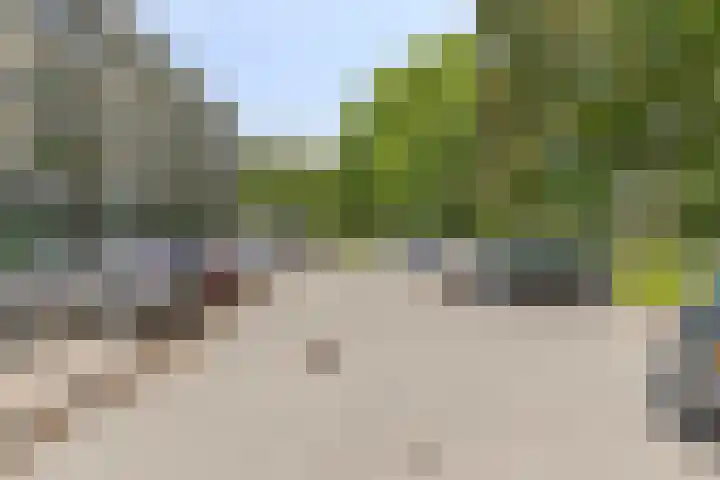 Boutensgaarde 96 Deventer thumbnail 31