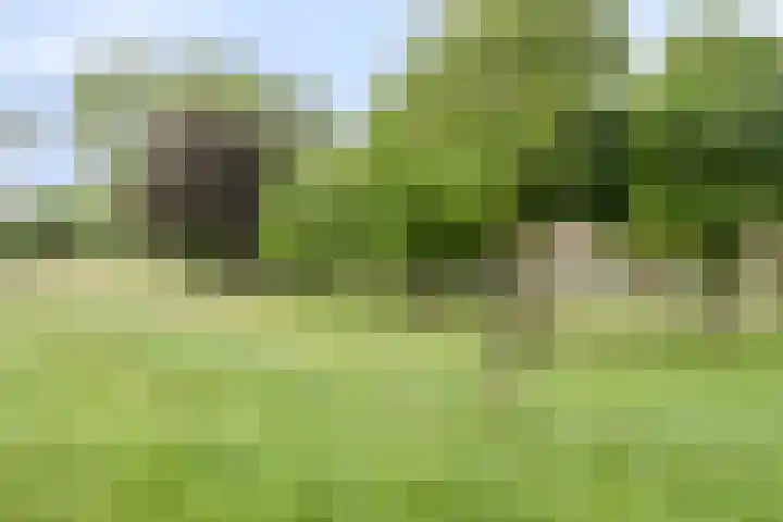 Boutensgaarde 96 Deventer thumbnail 33