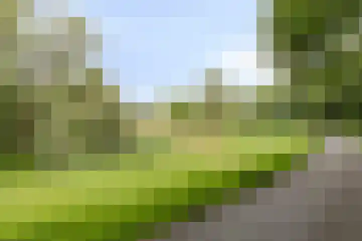 Boutensgaarde 96 Deventer thumbnail 34