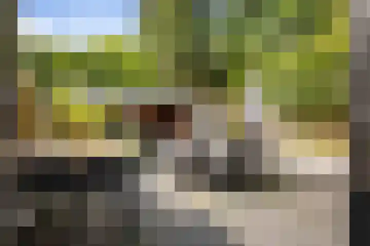 Boutensgaarde 98 Deventer thumbnail 12