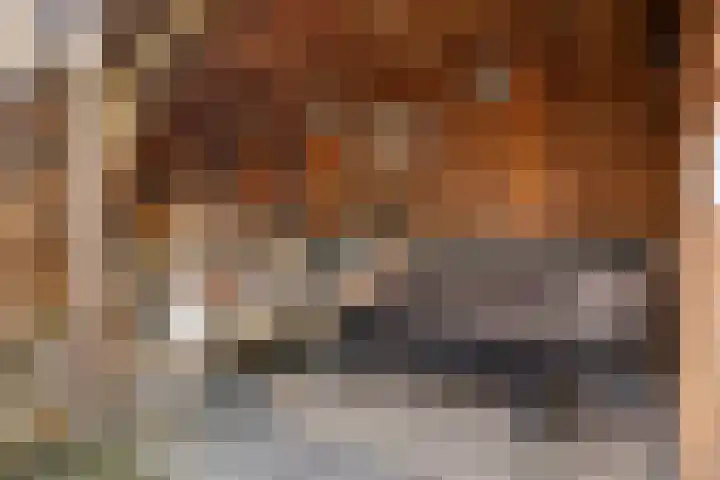 Boutensgaarde 98 Deventer thumbnail 13