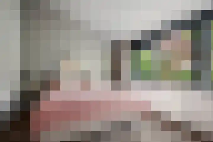 Boutensgaarde 98 Deventer thumbnail 19
