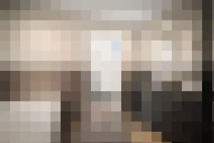Boutensgaarde 98 Deventer thumbnail 23