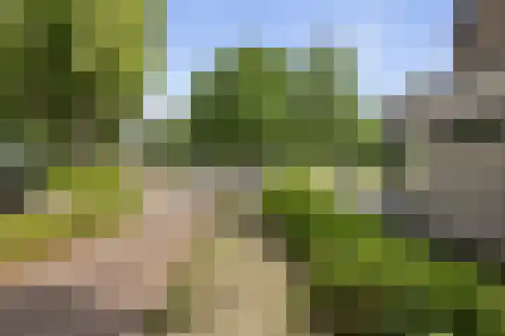 Boutensgaarde 98 Deventer thumbnail 27