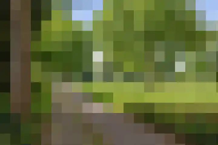 Boutensgaarde 98 Deventer thumbnail 28