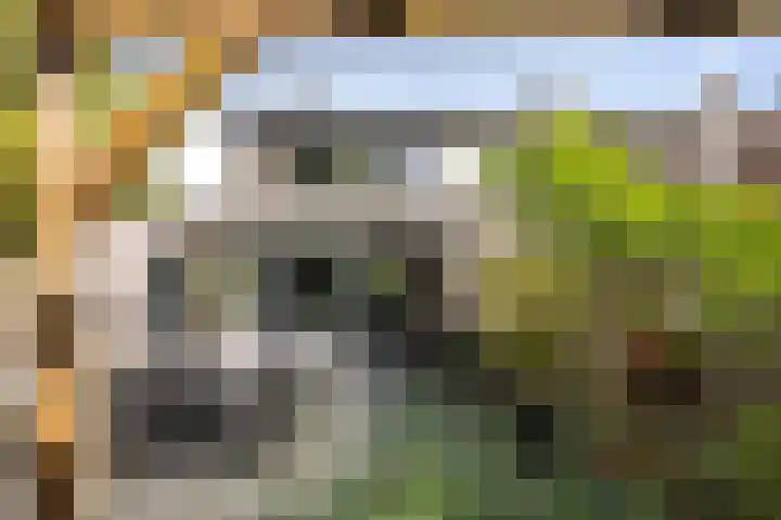 Boutensgaarde 98 Deventer thumbnail 4