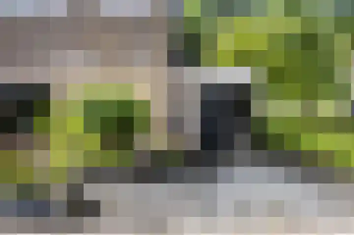 Boutensgaarde 98 Deventer thumbnail 5